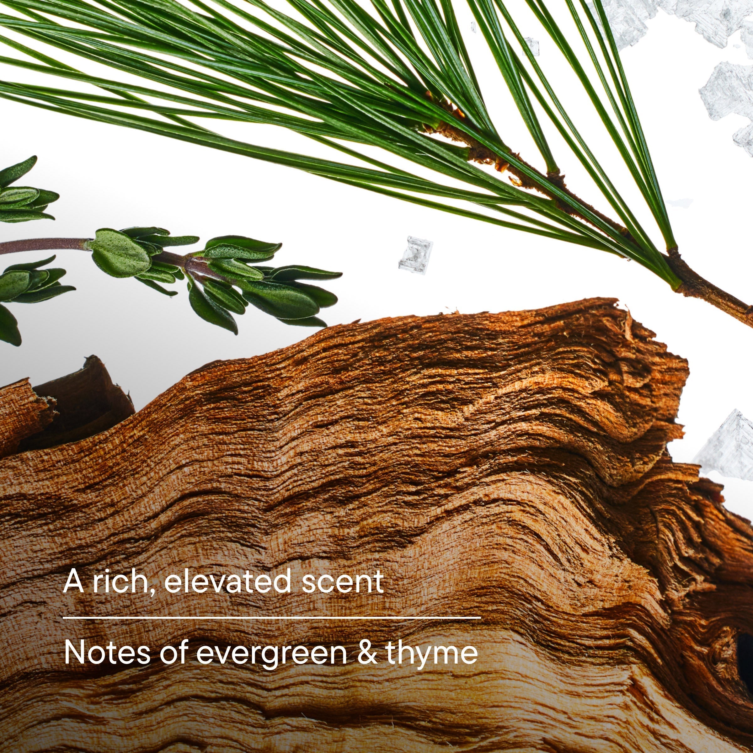 Full Body Fresh